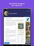 Captura de tela do apk Bird Identifier 1