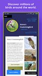 Captura de tela do apk Bird Identifier 13