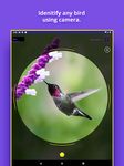 Captura de tela do apk Bird Identifier 11