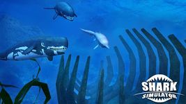 Imagem 8 do Simulador de Tubarões