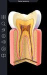 Screenshot 5 di Human Anatomy apk