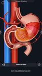 Human Anatomy ekran görüntüsü APK 