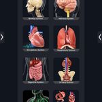 Скриншот 2 APK-версии Human Anatomy