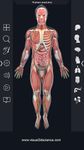 Скриншот 14 APK-версии Human Anatomy