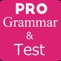 Ikona English Grammar use & Test Pro
