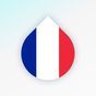 Ícone do Drops: aprenda francês e palavras gratuitamente