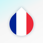 Icono de Drops: aprende francés y montón de palabras gratis