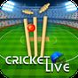 Icono de Live Cricket Scores