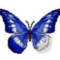 Butterfly Color by Number - Pixel Art Sandbox Draw apk icon