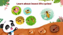 Screenshot 9 di Little Panda's Marvelous Insects apk