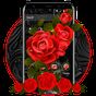 Роскошная черная красная роза APK