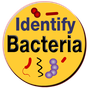 Ícone do apk Bacteria Identification Made Easy | Free & Offline