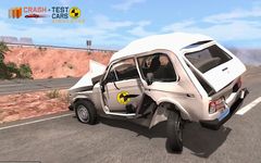 Imagem 12 do Car Crash Test NIVA