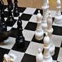 Chess - Titans 3D apk icon