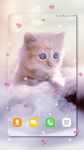 귀여운 새끼 고양이들 라이브 벽지 이미지 8