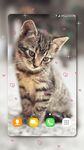 귀여운 새끼 고양이들 라이브 벽지 이미지 5