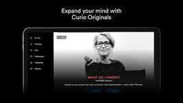 Картинка 10 curio - intelligent audio for busy people