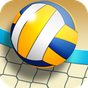 Real VolleyBall World Champion 3D 2019 apk icon