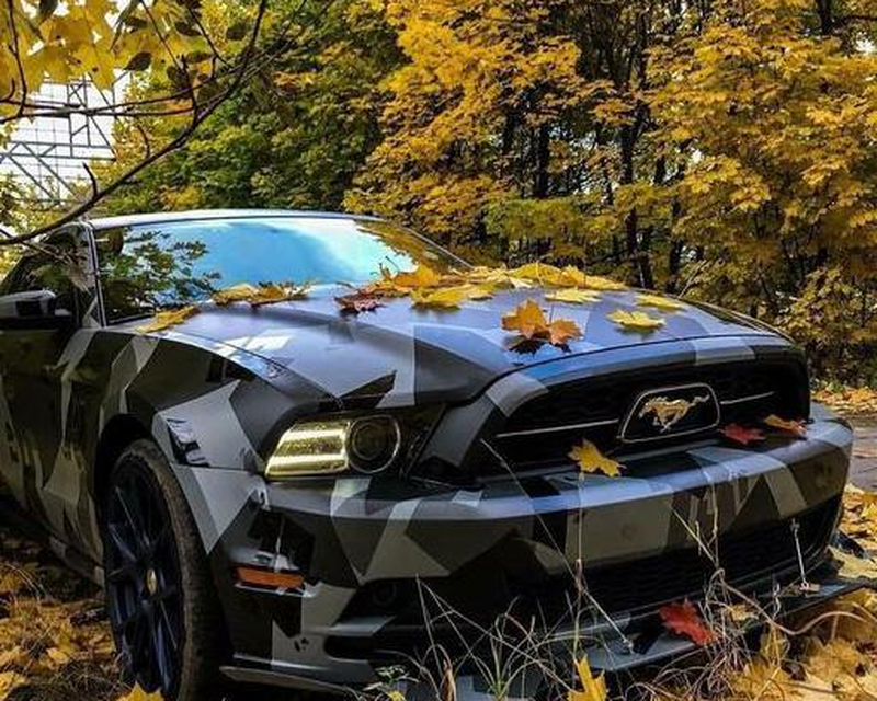 Mustang Wallpaper Apk Free Download App For Android Here you can find the best shelby mustang wallpapers uploaded by our. mustang wallpaper apk free download