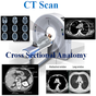 CT Scan Cross Sectional Anatomy apk icono