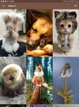 Animal Wallpapers Screenshot APK 3