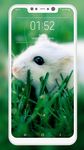 Hamster Wallpapers 이미지 1