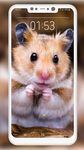 Hamster Wallpapers 이미지 3