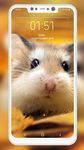 Hamster Wallpapers 이미지 4