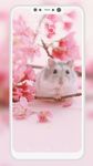 Hamster Wallpapers 이미지 2