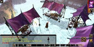 Neverwinter Nights: Enhanced Edition captura de pantalla apk 5