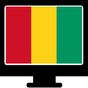 TV guinee en direct rtg APK