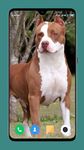 Pitbull Dog Wallpaper screenshot APK 6