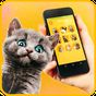 Удиви кота! Разговорник, звуки APK