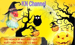 KN Channel Halloween Fun ảnh số 1