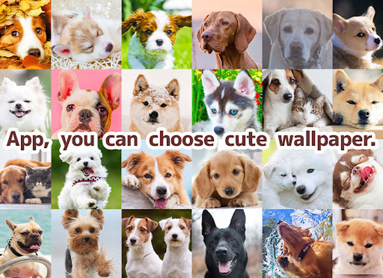 Androidの かわいい犬の待受け画面オシャレ壁紙きせかえアプリ無料 アプリ かわいい犬の待受け画面オシャレ壁紙きせかえアプリ無料 を無料ダウンロード