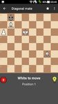 Entraîneur d'échecs Pro (Version professionnelle) capture d'écran apk 22