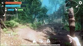 Island Survival: Hunt, Craft, Survive captura de pantalla apk 6