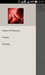 Pregnancy week by week. Expecting baby. Diary Bild 4