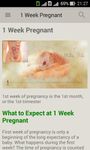 Pregnancy week by week. Expecting baby. Diary afbeelding 2