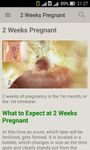 Pregnancy week by week. Expecting baby. Diary image 