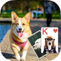 Solitaire Lovely Dogs Theme APK アイコン