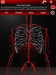 Système circulatoire en 3D (anatomie) capture d'écran apk 12