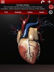 Sistema Circulatorio en 3D (Anatomia) captura de pantalla apk 13