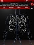 Système circulatoire en 3D (anatomie) capture d'écran apk 10