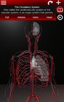 Système circulatoire en 3D (anatomie) capture d'écran apk 8