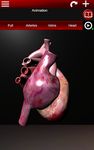 Скриншот 6 APK-версии Система кровообращения в 3D (анатомия)