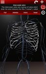 Système circulatoire en 3D (anatomie) capture d'écran apk 7