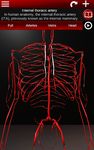 Sistema Circulatorio en 3D (Anatomia) captura de pantalla apk 4