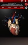 Sistema Circulatorio en 3D (Anatomia) captura de pantalla apk 3