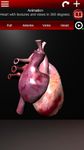 Sistema Circulatorio en 3D (Anatomia) captura de pantalla apk 18